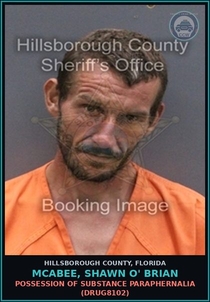 CCW arrest card for MCABEE, SHAWN O' BRIAN in Hillsborough County: POSSESSION OF DRUG PARAPHERNALIA (DRUG8102)