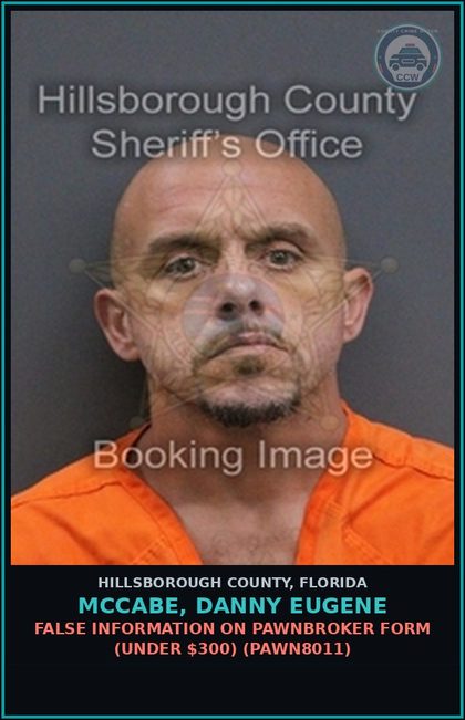 CCW arrest card for MCCABE, DANNY EUGENE in Hillsborough County: FALSE INFORMATION ON PAWNBROKER FORM (UNDER $300) (PAWN8011)