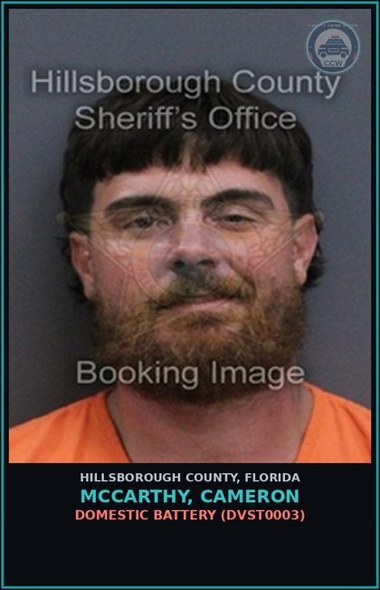 CCW arrest card for MCCARTHY, CAMERON in Hillsborough County: DOMESTIC BATTERY (DVST0003)