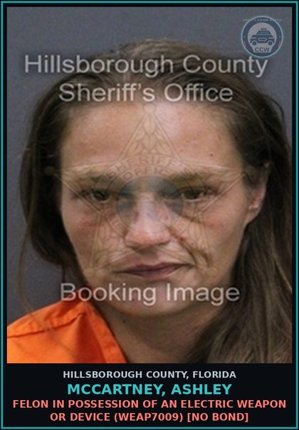 CCW arrest card for MCCARTNEY, ASHLEY in Hillsborough County: FELON IN POSSESSION OF AN ELECTRIC WEAPON OR DEVICE (WEAP7009) [NO BOND]