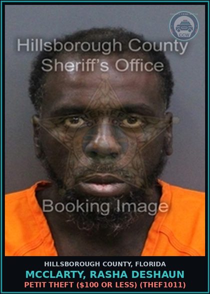 CCW arrest card for MCCLARTY, RASHA DESHAUN in Hillsborough County: PETIT THEFT ($100 OR LESS) (THEF1011)