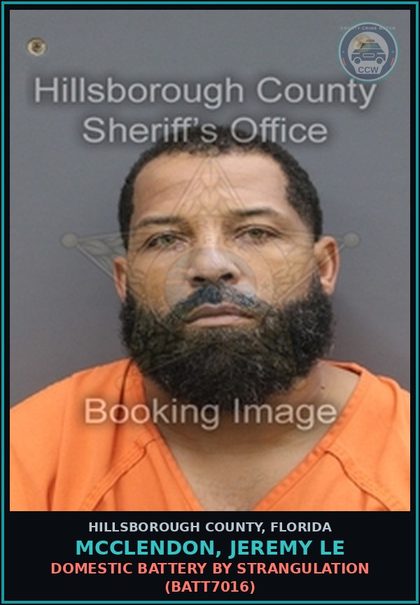 CCW arrest card for MCCLENDON, JEREMY LE in Hillsborough County: DOMESTIC BATTERY BY STRANGULATION (BATT7016)