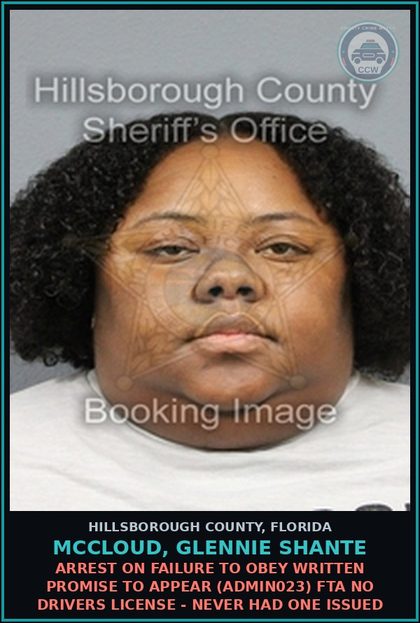 CCW arrest card for MCCLOUD, GLENNIE SHANTE in Hillsborough County: ARREST ON FAILURE TO OBEY WRITTEN PROMISE TO APPEAR (ADMIN023) FTA NO DRIVERS LICENSE - NEVER HAD ONE ISSUED