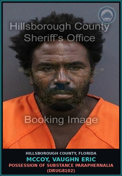 CCW arrest card for MCCOY, VAUGHN ERIC in Hillsborough County: POSSESSION OF DRUG PARAPHERNALIA (DRUG8102)