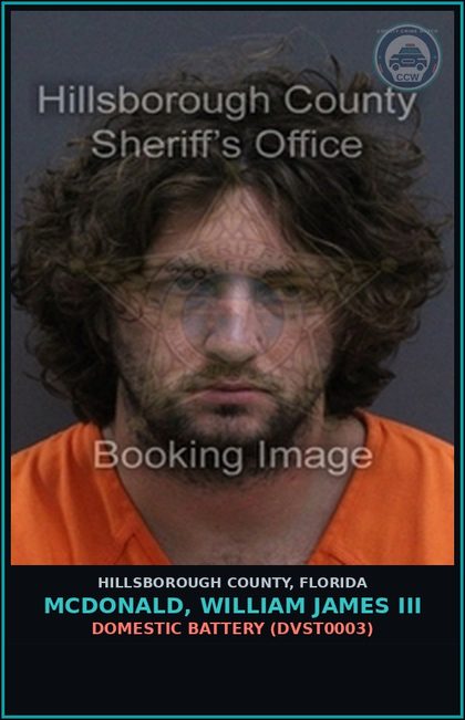 CCW arrest card for MCDONALD, WILLIAM JAMES III in Hillsborough County: DOMESTIC BATTERY (DVST0003)