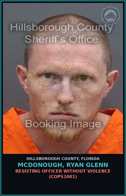 CCW arrest card for MCDONOUGH, RYAN GLENN in Hillsborough County: RESISTING OFFICER WITHOUT VIOLENCE (COPS1001)