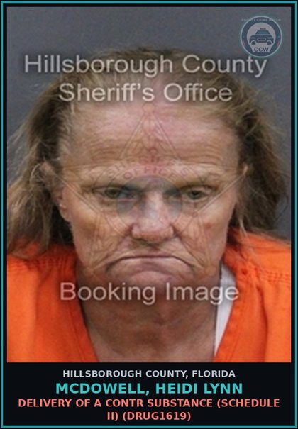 CCW arrest card for MCDOWELL, HEIDI LYNN in Hillsborough County: DELIVERY OF A contr substance (SCHEDULE II) (DRUG1619)