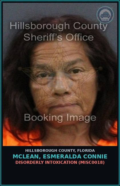 CCW arrest card for MCLEAN, ESMERALDA CONNIE in Hillsborough County: DISORDERLY INTOXICATION (MISC0018)
