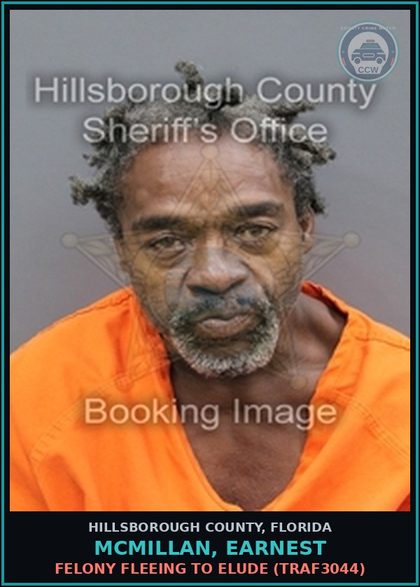 CCW arrest card for MCMILLAN, EARNEST in Hillsborough County: FELONY FLEEING TO ELUDE (TRAF3044)