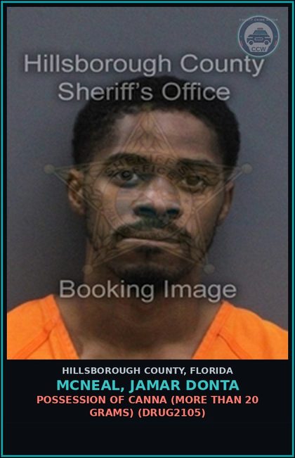 CCW arrest card for MCNEAL, JAMAR DONTA in Hillsborough County: POSSESSION OF Canna (MORE THAN 20 GRAMS) (DRUG2105)