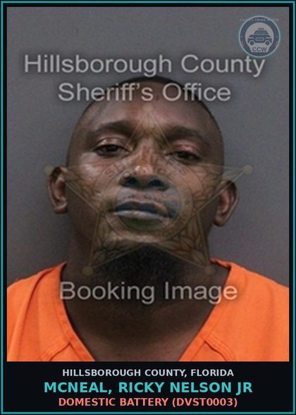 CCW arrest card for MCNEAL, RICKY NELSON JR in Hillsborough County: DOMESTIC BATTERY (DVST0003)