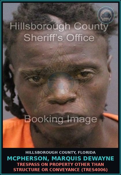 CCW arrest card for MCPHERSON, MARQUIS DEWAYNE in Hillsborough County: TRESPASS ON PROPERTY OTHER THAN STRUCTURE OR CONVEYANCE (TRES4006)