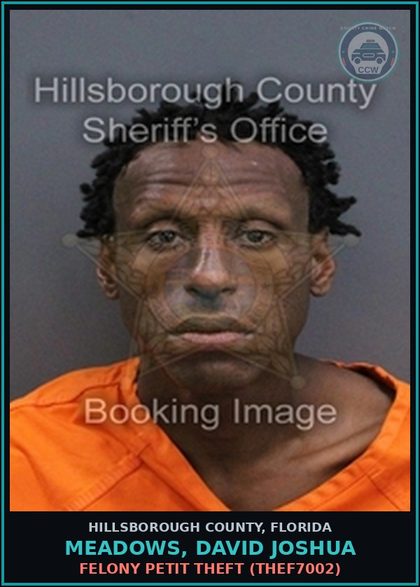 CCW arrest card for MEADOWS, DAVID JOSHUA in Hillsborough County: POSSESSION OF DRUG PARAPHERNALIA (DRUG8102)