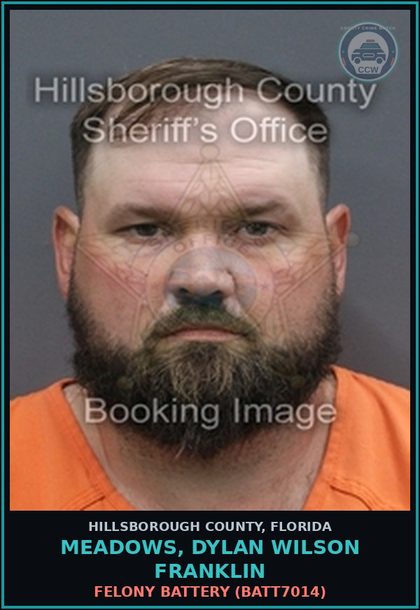 CCW arrest card for MEADOWS, DYLAN WILSON FRANKLIN in Hillsborough County: FELONY BATTERY (BATT7014)