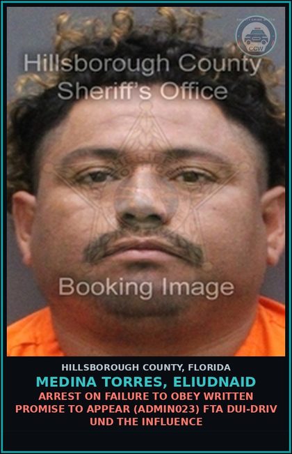 CCW arrest card for MEDINA TORRES, ELIUDNAID in Hillsborough County: FALSE NAME TO LAW ENFORCEMENT OFFICER (COPS2060)