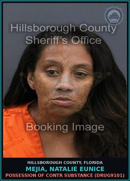 CCW arrest card for MEJIA, NATALIE EUNICE in Hillsborough County: TAMPERING WITH PHYSICAL EVIDENCE (TAMP4005)