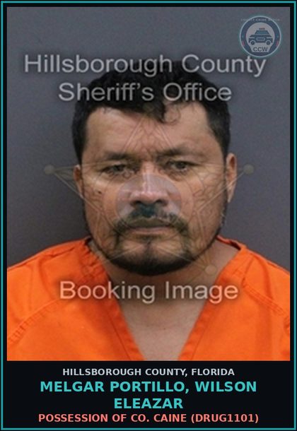 CCW arrest card for MELGAR PORTILLO, WILSON ELEAZAR in Hillsborough County: POSSESSION OF COCAINE (DRUG1101)
