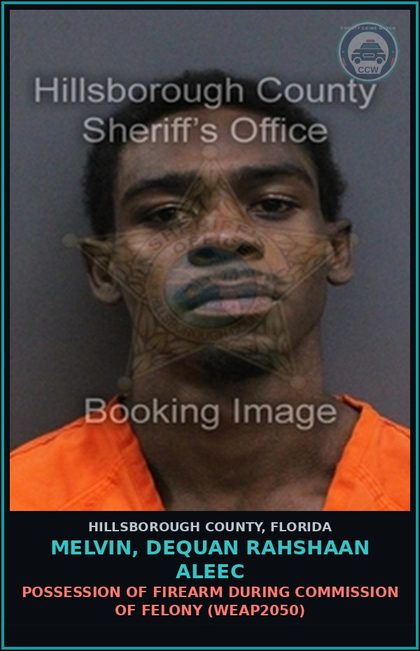 CCW arrest card for MELVIN, DEQUAN RAHSHAAN ALEEC in Hillsborough County: POSSESSION OF FIREARM DURING COMMISSION OF FELONY (WEAP2050)