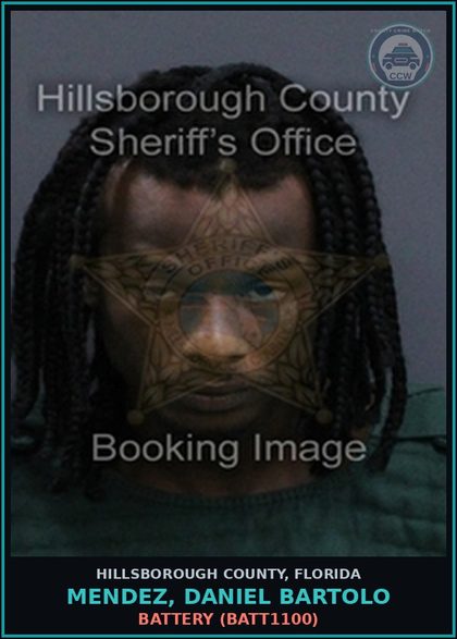 CCW arrest card for MENDEZ, DANIEL BARTOLO in Hillsborough County: VOP (VOP) VOP CT 1 CRIMINAL MISCHIEF $1,000 OR MORE