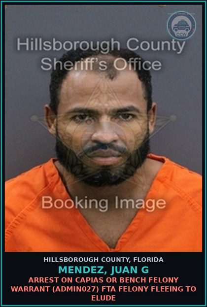 CCW arrest card for MENDEZ, JUAN G in Hillsborough County: ARREST ON CAPIAS OR BENCH FELONY WARRANT (ADMIN027) FTA FELONY FLEEING TO ELUDE