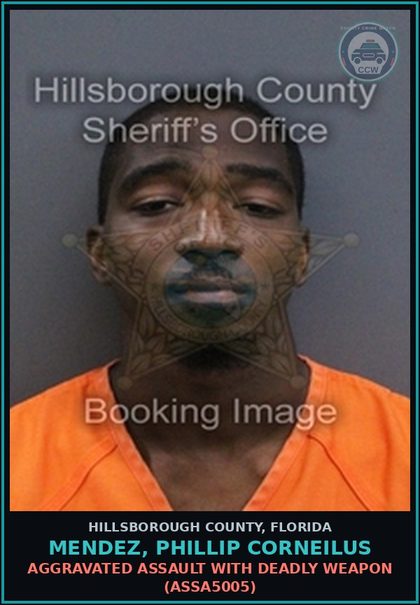 CCW arrest card for MENDEZ, PHILLIP CORNEILUS in Hillsborough County: USE OF FIREARM WHILE INTOXICATED (ALCOHOL) (WEAP3061)