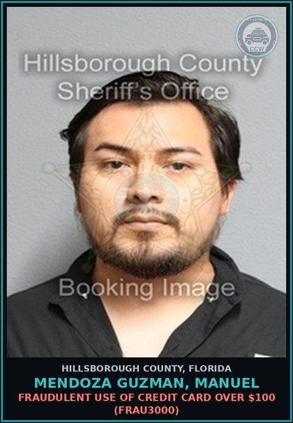 CCW arrest card for MENDOZA GUZMAN, MANUEL in Hillsborough County: PETIT THEFT FIRST DEGREE ($100 OR MORE, BUT LESS THAN $750) (THEF1013)