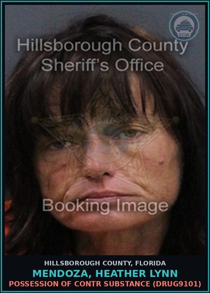 CCW arrest card for MENDOZA, HEATHER LYNN in Hillsborough County: POSSESSION OF contr substance (DRUG9101)