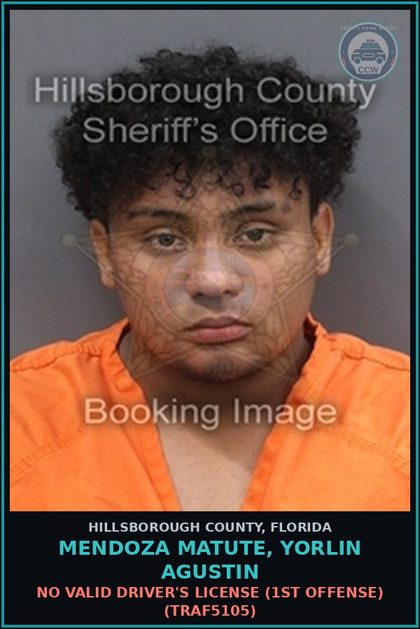 CCW arrest card for MENDOZA MATUTE, YORLIN AGUSTIN in Hillsborough County: NO VALID DRIVER'S LICENSE (1ST OFFENSE) (TRAF5105)