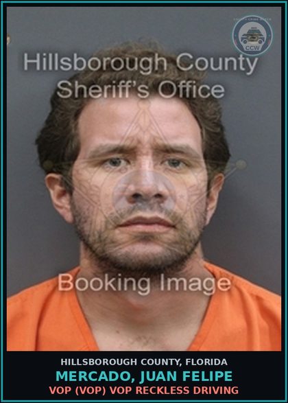 CCW arrest card for MERCADO, JUAN FELIPE in Hillsborough County: VOP (VOP) VOP RECKLESS DRIVING