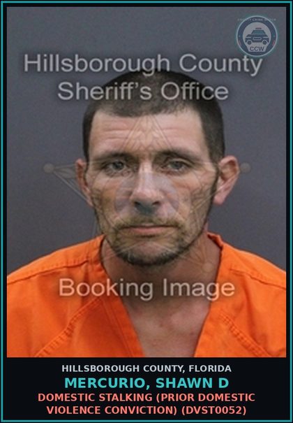 CCW arrest card for MERCURIO, SHAWN D in Hillsborough County: DOMESTIC STALKING (PRIOR DOMESTIC VIOLENCE CONVICTION) (DVST0052)