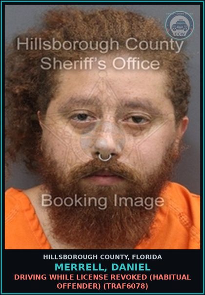 CCW arrest card for MERRELL, DANIEL in Hillsborough County: DRIVING WHILE LICENSE REVOKED (HABITUAL OFFENDER) (TRAF6078)