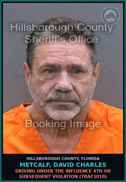 CCW arrest card for METCALF, DAVID CHARLES in Hillsborough County: DRIVING UNDER THE INFLUENCE 4TH OR SUBSEQUENT VIOLATION (TRAF1018)