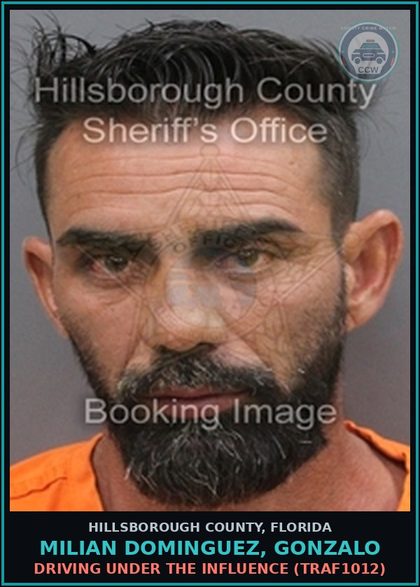 CCW arrest card for MILIAN DOMINGUEZ, GONZALO in Hillsborough County: DRIVING UNDER THE INFLUENCE (TRAF1012)