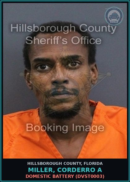 CCW arrest card for MILLER, CORDERRO A in Hillsborough County: DOMESTIC BATTERY (DVST0003)