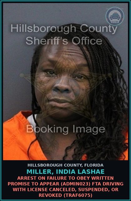 CCW arrest card for MILLER, INDIA LASHAE in Hillsborough County: ARREST ON FAILURE TO OBEY WRITTEN PROMISE TO APPEAR (ADMIN023) FTA DRIVING WITH LICENSE CANCELED, SUSPENDED, OR REVOKED (TRAF6075)