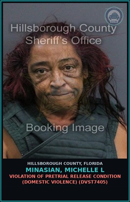 CCW arrest card for MINASIAN, MICHELLE L in Hillsborough County: VIOLATION OF PRETRIAL RELEASE CONDITION (DOMESTIC VIOLENCE) (DVST7405)