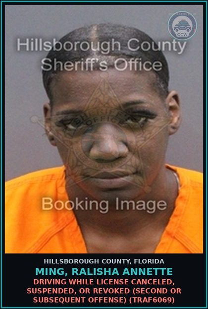 CCW arrest card for MING, RALISHA ANNETTE in Hillsborough County: DRIVING WHILE LICENSE CANCELED, SUSPENDED, OR REVOKED (SECOND OR SUBSEQUENT OFFENSE) (TRAF6069)