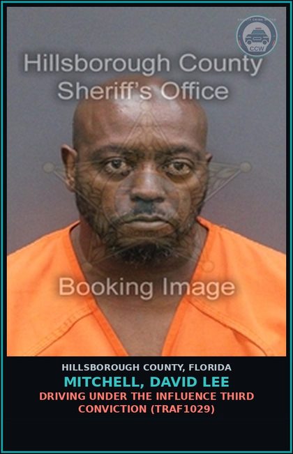 CCW arrest card for MITCHELL, DAVID LEE in Hillsborough County: DRIVING UNDER THE INFLUENCE THIRD CONVICTION (TRAF1029)