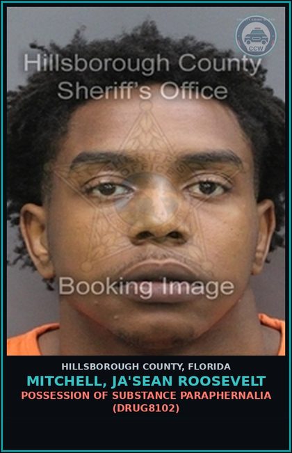 CCW arrest card for MITCHELL, JA'SEAN ROOSEVELT in Hillsborough County: POSSESSION OF DRUG PARAPHERNALIA (DRUG8102)