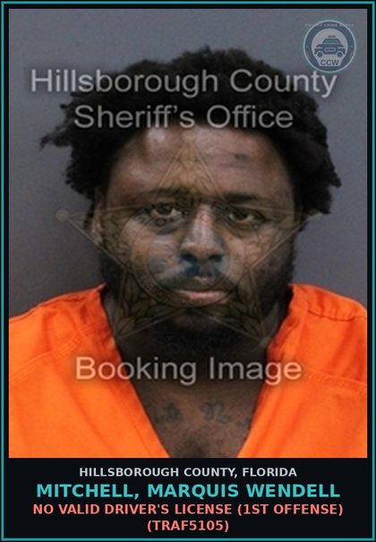 CCW arrest card for MITCHELL, MARQUIS WENDELL in Hillsborough County: NO VALID DRIVER'S LICENSE (1ST OFFENSE) (TRAF5105)