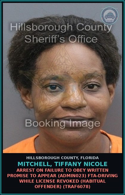 CCW arrest card for MITCHELL, TIFFANY NICOLE in Hillsborough County: ARREST ON FAILURE TO OBEY WRITTEN PROMISE TO APPEAR (ADMIN023) FTA-DRIVING WHILE LICENSE REVOKED (HABITUAL OFFENDER) (TRAF6078)
