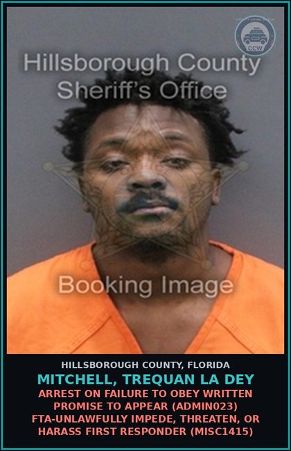 CCW arrest card for MITCHELL, TREQUAN LA DEY in Hillsborough County: ARREST ON FAILURE TO OBEY WRITTEN PROMISE TO APPEAR (ADMIN023) FTA-UNLAWFULLY IMPEDE, THREATEN, OR HARASS FIRST RESPONDER (MISC1415)