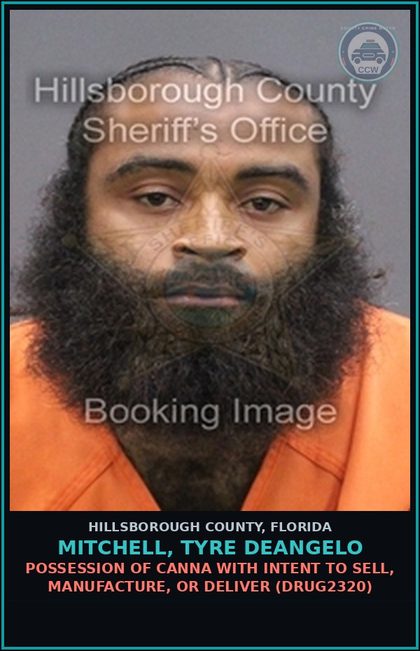 CCW arrest card for MITCHELL, TYRE DEANGELO in Hillsborough County: POSSESSION OF Canna WITH INTENT TO SELL, MANUFACTURE, OR DELIVER (DRUG2320)