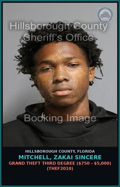 CCW arrest card for MITCHELL, ZAKAI SINCERE in Hillsborough County: GRAND THEFT THIRD DEGREE ($750 - $5,000) (THEF2010)