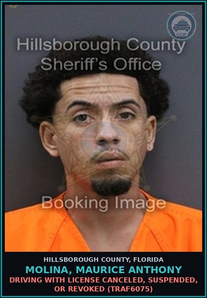 CCW arrest card for MOLINA, MAURICE ANTHONY in Hillsborough County: DRIVING WITH LICENSE CANCELED, SUSPENDED, OR REVOKED (TRAF6075)