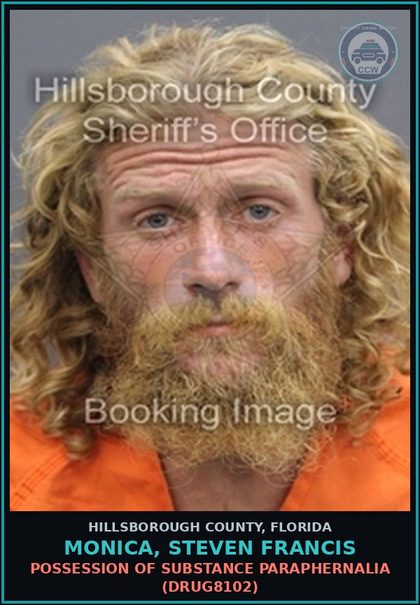 CCW arrest card for MONICA, STEVEN FRANCIS in Hillsborough County: POSSESSION OF DRUG PARAPHERNALIA (DRUG8102)