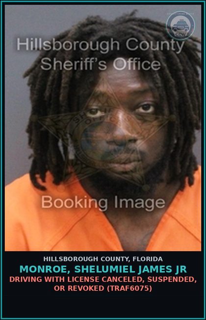CCW arrest card for MONROE, SHELUMIEL JAMES JR in Hillsborough County: DRIVING WITH LICENSE CANCELED, SUSPENDED, OR REVOKED (TRAF6075)
