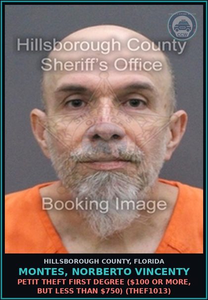 CCW arrest card for MONTES, NORBERTO VINCENTY in Hillsborough County: POSSESS OR USE OF ANTISHOPLIFTING DEVICE (THEF7015)