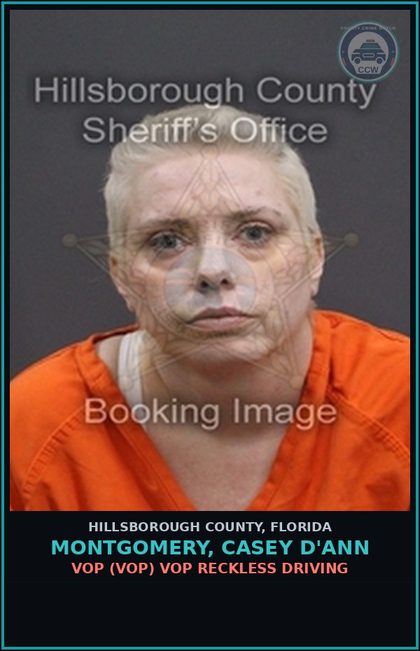 CCW arrest card for MONTGOMERY, CASEY D'ANN in Hillsborough County: VOP (VOP) VOP RECKLESS DRIVING