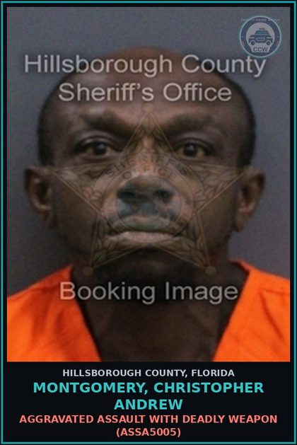 CCW arrest card for MONTGOMERY, CHRISTOPHER ANDREW in Hillsborough County: AGGRAVATED ASSAULT WITH DEADLY WEAPON (ASSA5005)